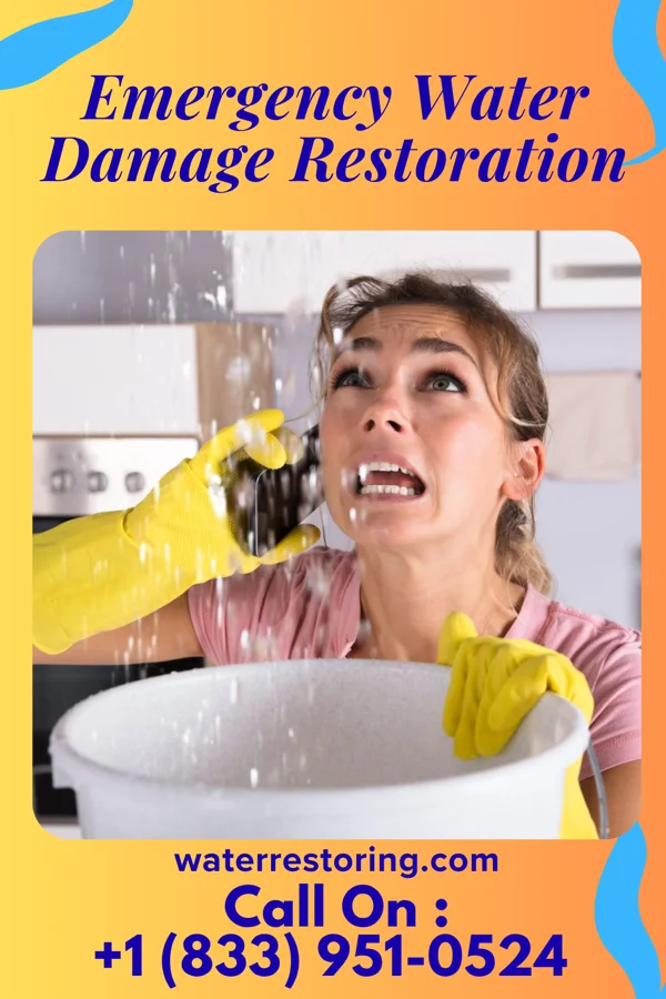 Emergency Water Damage Restoration in Dover, ID