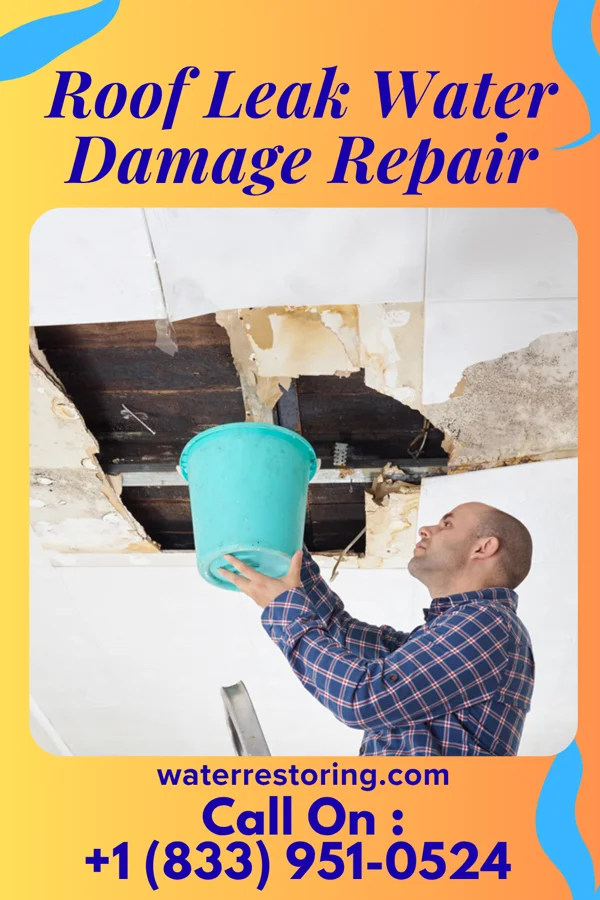 Roof Leak Water Damage Repair in Dover, ID